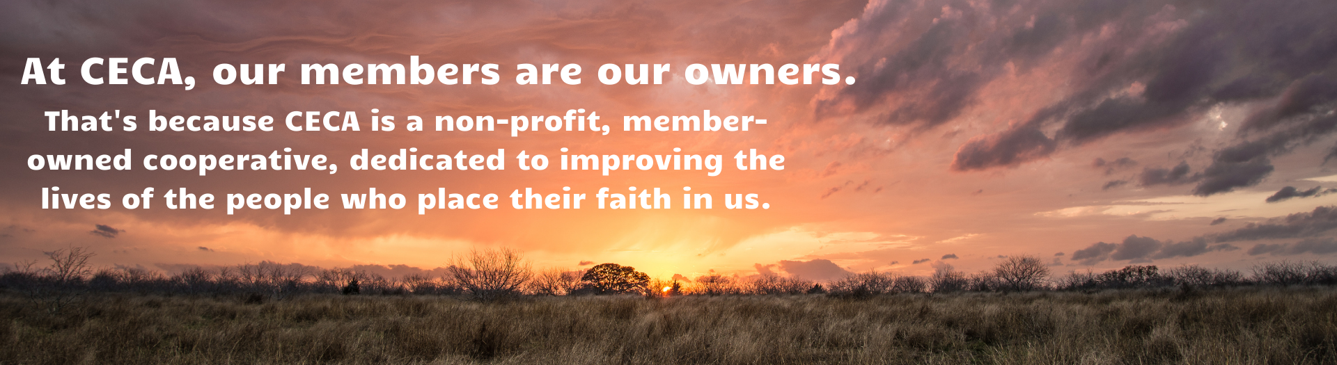 Our Members are Our Owners